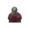 Busto Piloto de Avión