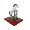 Caballo de Salto Blanco