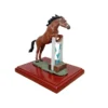 Caballo de Salto Marrón