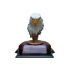14 Busto de Aguila