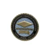 31 Moneda Conmemorativa Dragoneante